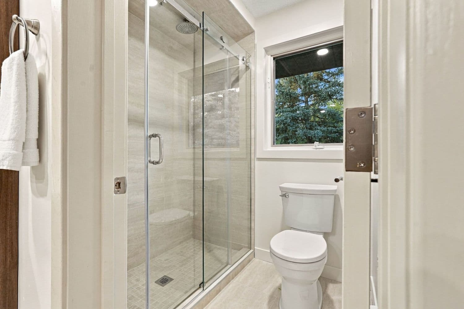 Douche vitrée et toilette